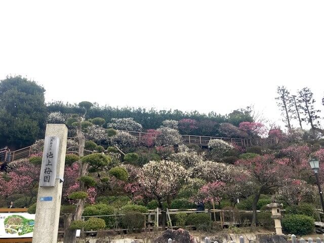 池上梅園